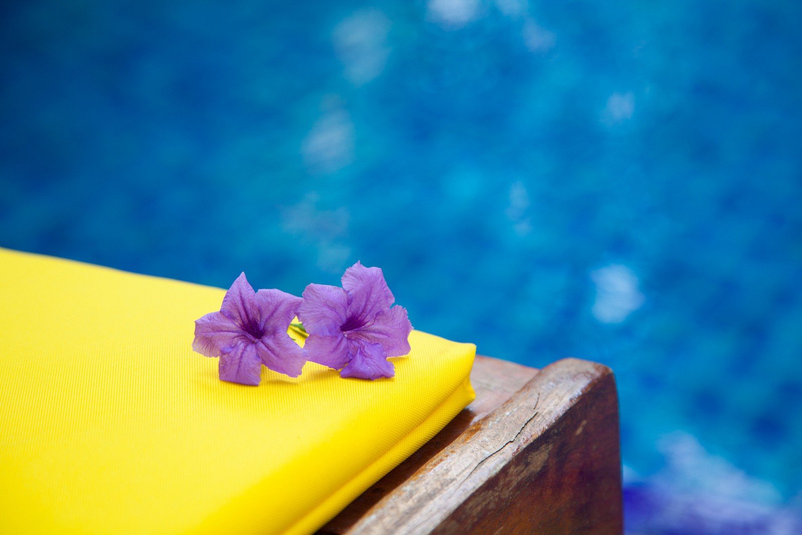 Tropical flowers by the pool