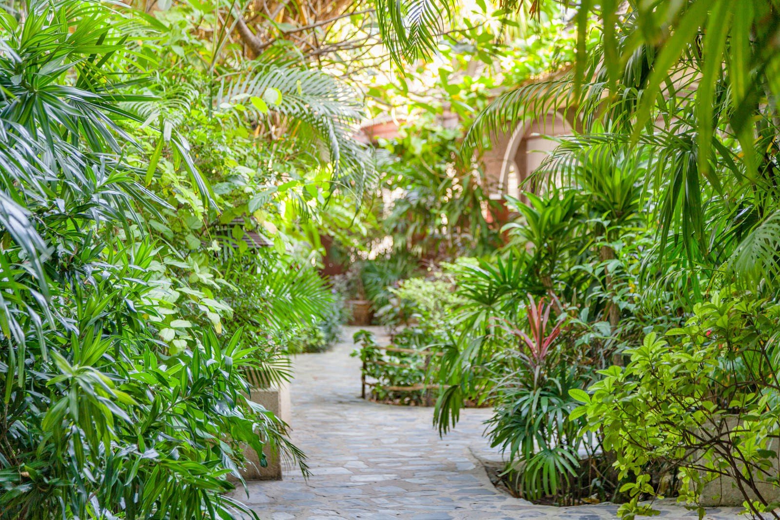 Lush tropical garden path at Tropica Bungalow